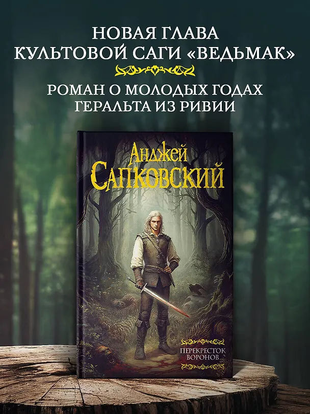 Книга Перекресток Воронов  (Анджей Сапковский) — 6