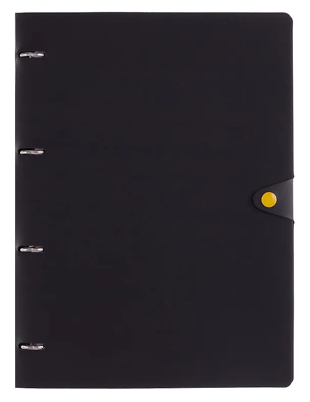 Тетрадь на кольцах «Favorite Black. No 1» 80 листов в клетку, А4, сменный блок - Listoff 3091862 — 1