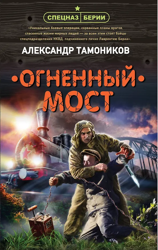 Книга Огненный мост (Александр Тамоников) — 1