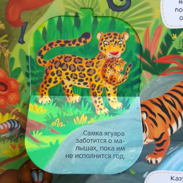 Книга Животные (Оксана Ларичкина) — 4