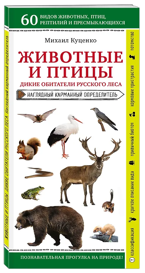 Книга Животные и птицы. Дикие обитатели русского леса. Наглядный карманный определитель (Михаил Куценко) — 4
