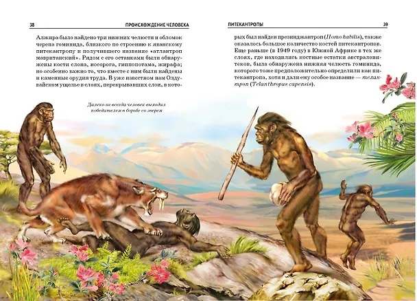 Книга Происхождение человека (И.В. Рябинина) — 2