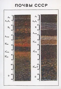 Почвы СССР