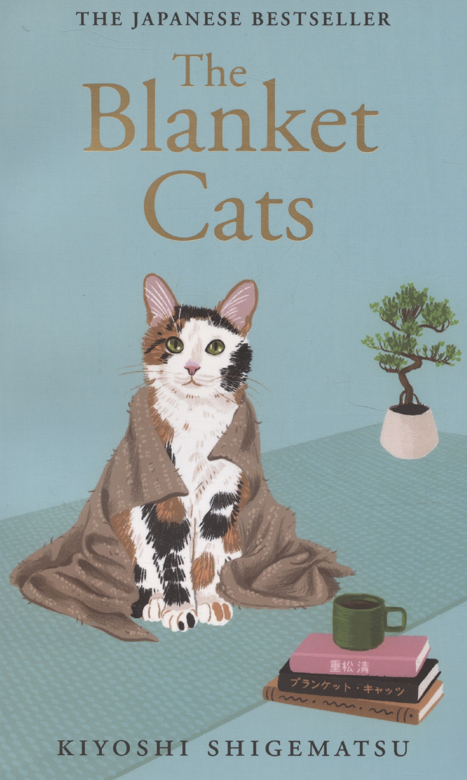 

The Blanket Cats