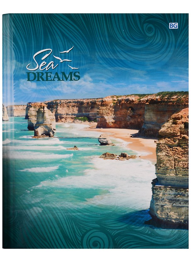Тетрадь на кольцах в клетку BG, Sea dreams, 160 листов, в ассортименте 244727 — 1