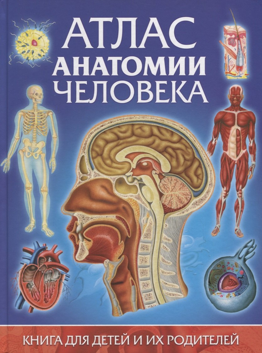 

Атлас анатомии человека.Книга для детей и их родителей