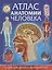 Атлас анатомии человека.Книга для детей и их родителей — 2686568 — 1