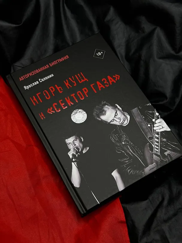 Книга Игорь Кущ и "Сектор Газа". Авторизованная биография (Ярослав Солонин) — 5