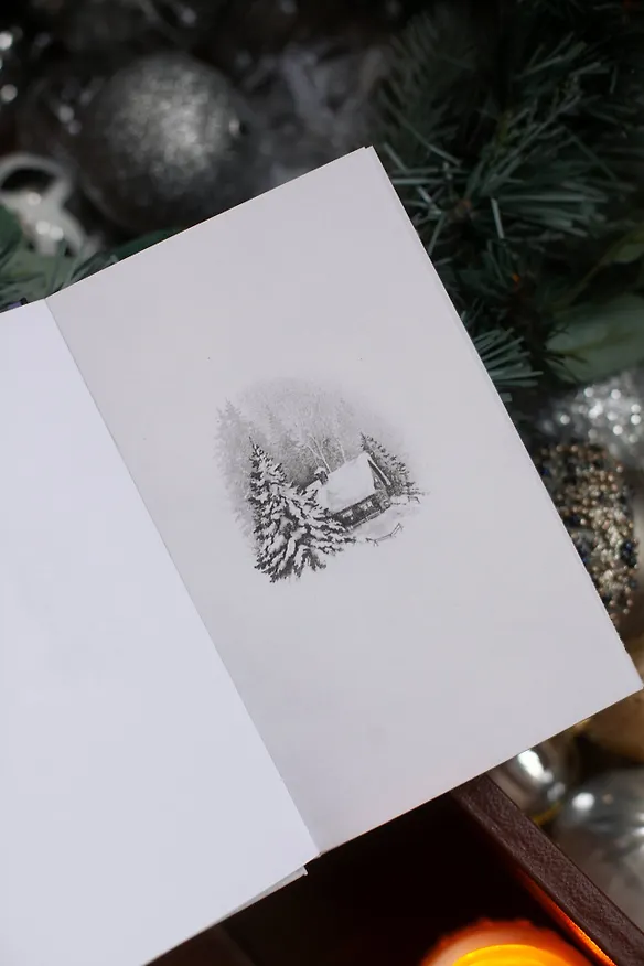 Книга Зимняя почта (Саша Степанова, Марина Сычева, Анастасия Перкова) — 10