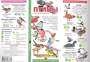 Птицы. Наглядный справочник — 2353000 — 1