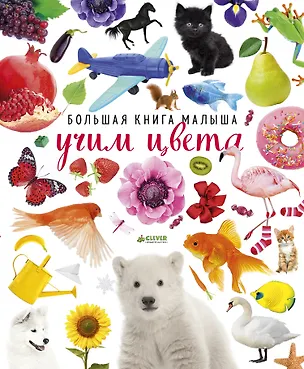 Книга Большая книга малыша. Учим цвета (Лилу Рами, Евгения Попова)