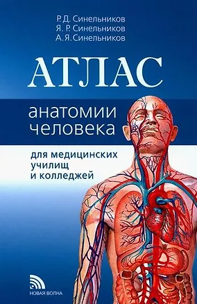 Книга Атлас анатомии человека. Учебное пособие (Рафаил Синельников, Яков Синельников)