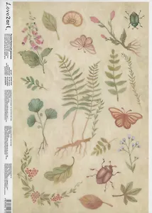 Рисовая бумага для декупажа "Ботаника"