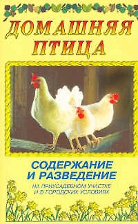 Книга Домашняя птица Содержание и разведение на приусадебном участке и в городких условиях (мяг). Рахманов А. (Аквариум) (Александр Рахманов) — 1