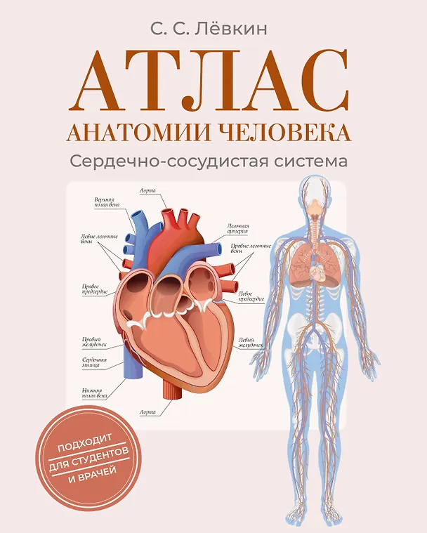 Книга Атлас анатомии человека. Сердечно-сосудистая система (Сергей Лёвкин) — 1