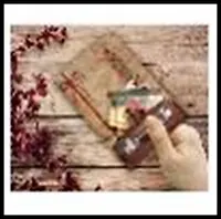 Обложка для паспорта (29074) (133х191) (ПВХ)