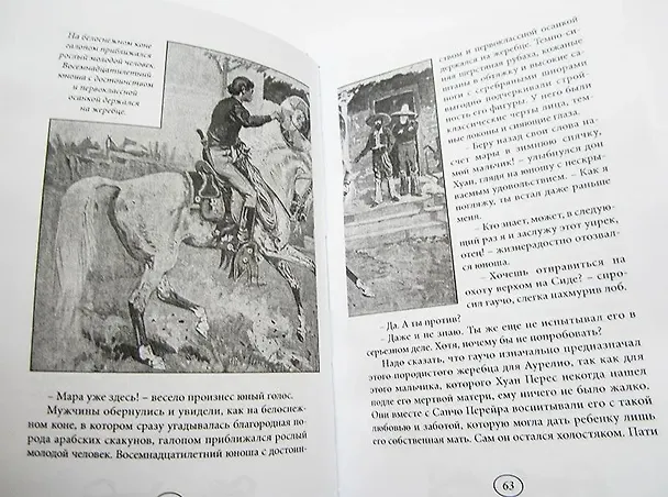 Книга Сын гаучо () — 5