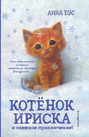 Книга Котёнок Ириска и снежное приключение! (#4) ()
