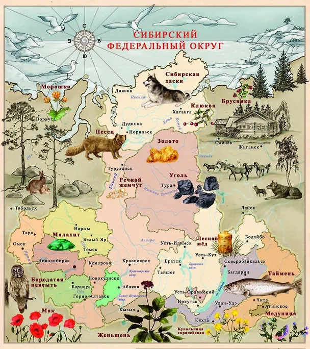 Книга Сказки сибирских деревень (Елена Жданова) — 2