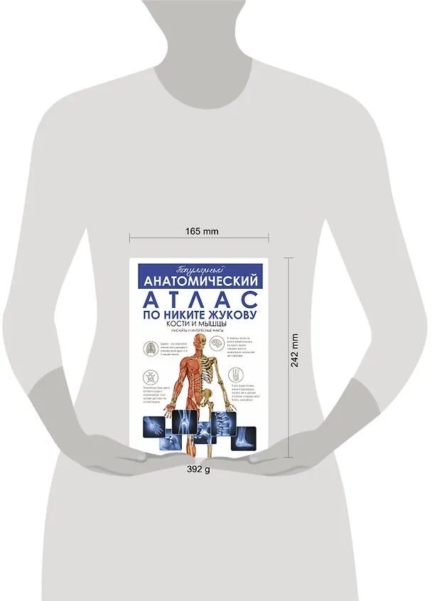 Книга Популярный анатомический атлас по Никите Жукову. Кости и мышцы. Инсайты и интересные факты (Никита Жуков) — 5