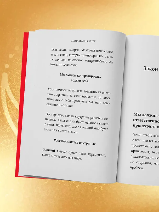 Книга 12 Законов кармы (Манхардип Сингх) — 12