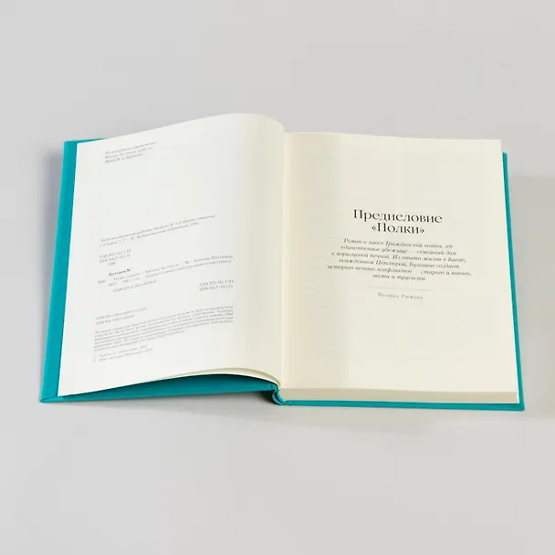 Книга Белая гвардия (Михаил Булгаков) — 18