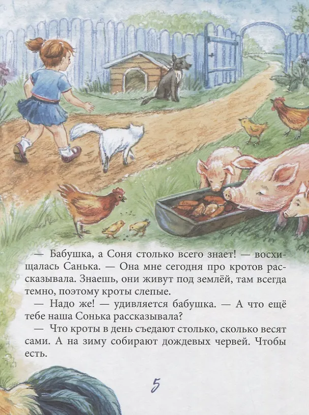 Книга Санька и Сонька (Майя Костюк) — 4