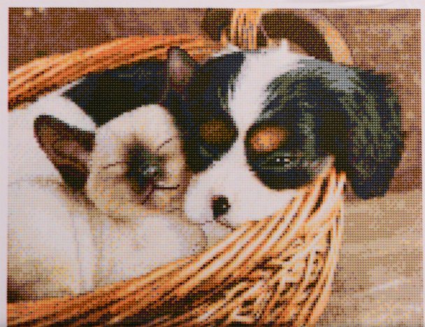 Алмазная мозаика ТМ Рыжий кот (класс.) 40х50см (25цв.) Щеночек в корзине AC4062 2795789 — 1