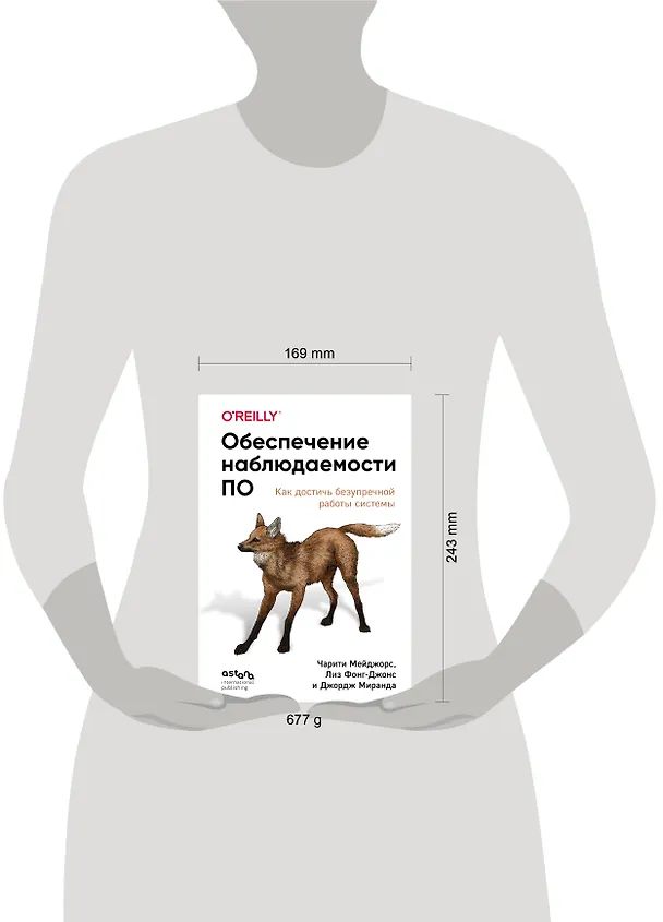 Книга Обеспечение наблюдаемости ПО. Как достичь безупречной работы системы (Чарити Мейджорс, Лиз Фонг-Джонс, Джордж Миранда) — 8