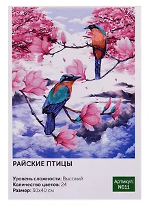 Картина по номерам N011 Райские птицы 30х40