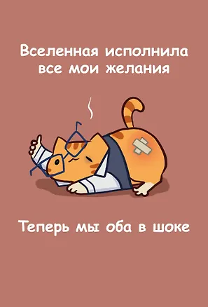 Книга для записей А5 64л лин. "Мурчальня. Вселенная исполнила все мои желания" 3141652