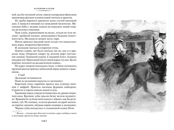 Книга Белеет парус одинокий. Сын полка (Валентин Катаев) — 19