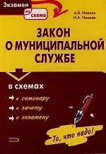 Книга Закон о муниципальной службе в схемах (Александр Иванов)