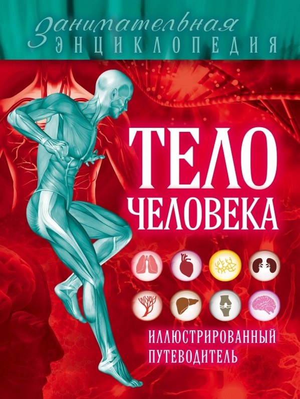 

Тело человека: иллюстрированный путеводитель