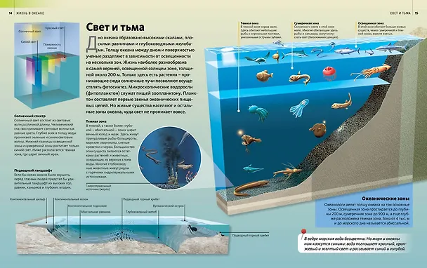 Книга Жизнь в океане () — 7