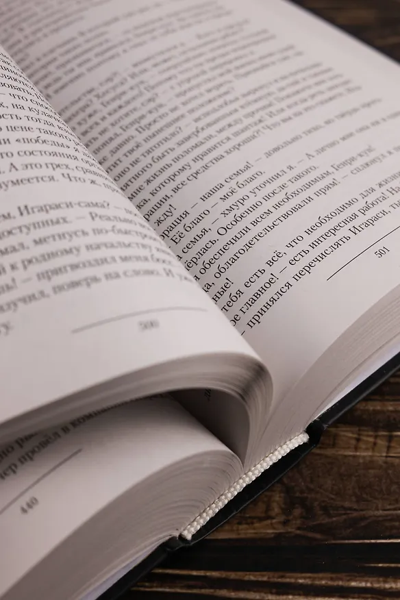 Книга Концессия (Александр Быченин) — 10