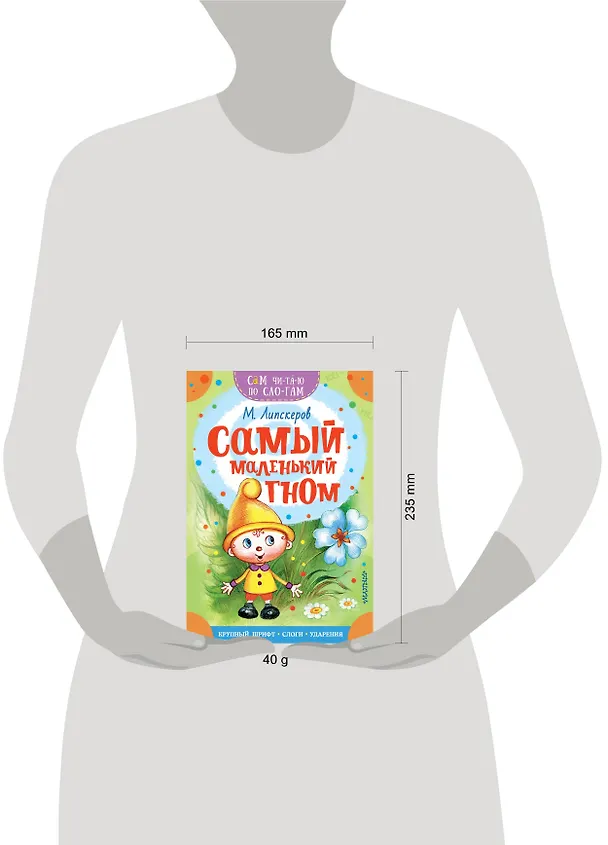 Книга Самый маленький гном (Михаил Липскеров) — 6