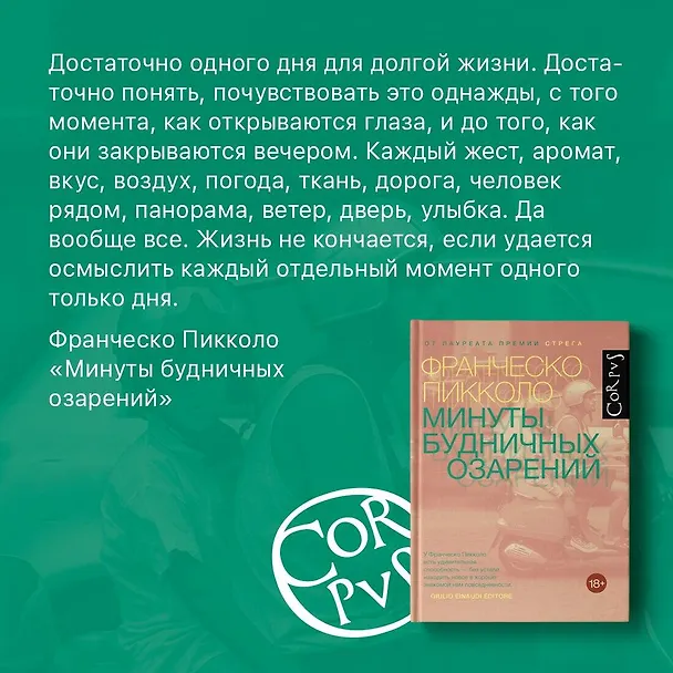 Книга Минуты будничных озарений (Франческо Пикколо) — 5