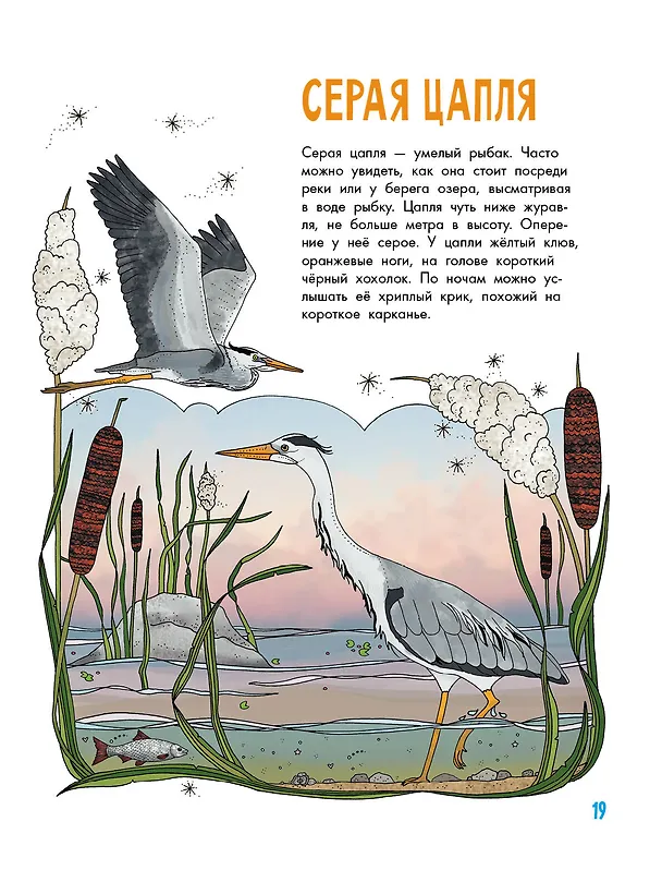 Книга Птицы (Эмма Янссон) — 8