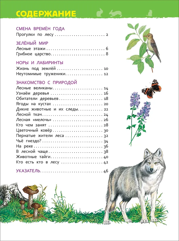 Книга В лесу (Лариса Клюшник) — 4