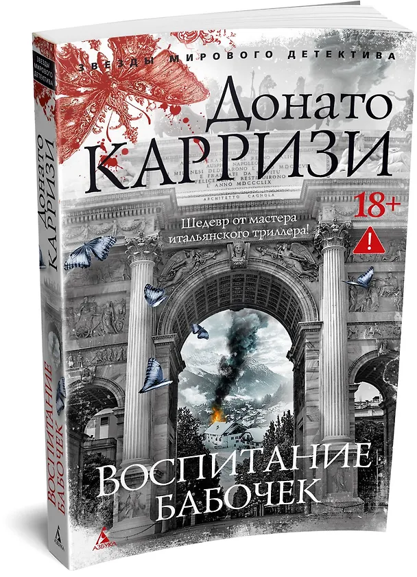Книга Воспитание бабочек (Донато Карризи) — 5