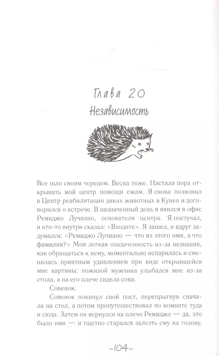 25 граммов счастья. История маленького ежика, который изменил жизнь  человека (Массимо Ваккетта, Антонелла Томазелли) - купить книгу с доставкой  в интернет-магазине «Читай-город». ISBN: 978-5-04-111854-9