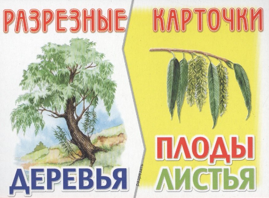 

Разрезные карточки Деревья, плоды, листья
