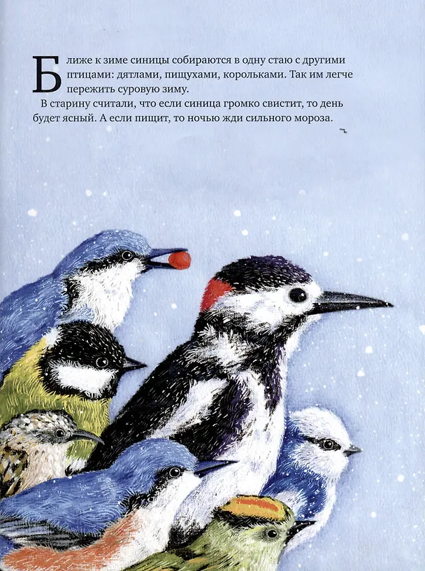 Книга Воробьи и синицы - любимые птицы (Анна Юдина) — 4
