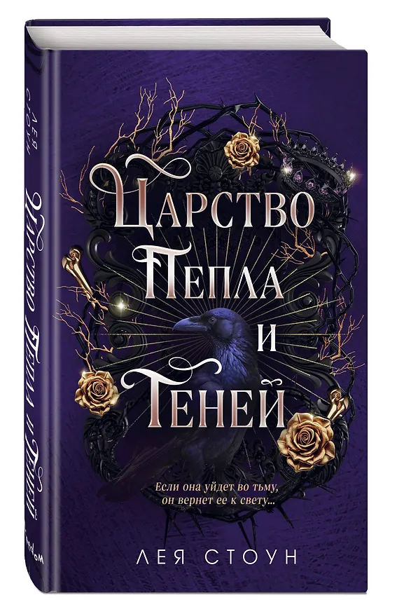 Книга Царство Пепла и Теней (Лея Стоун) — 4