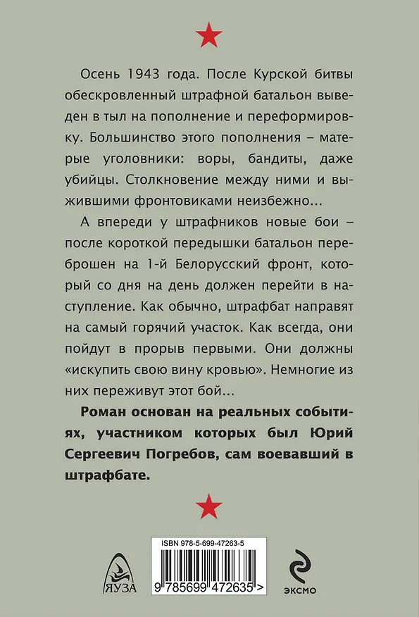 Книга В прорыв идут штрафные батальоны (Юрий Погребов) — 2