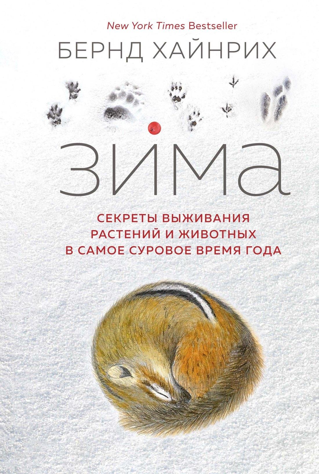 

Зима. Секреты выживания растений и животных в самое суровое время года