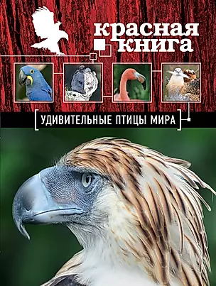 Красная книга. Удивительные птицы мира — 2385108 — 1