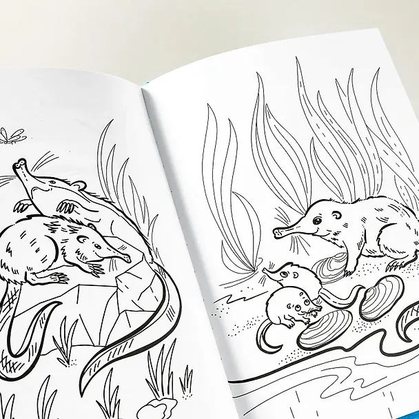 Книга Я выхухоль (Оксана Коростышевская) — 14