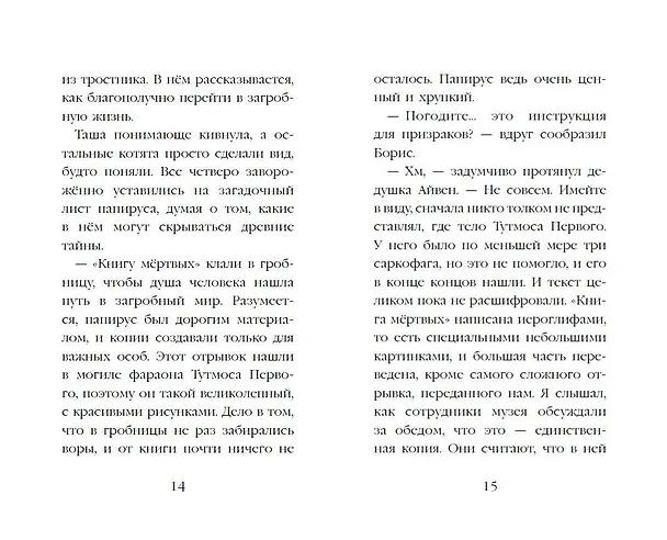 Книга Проклятие кошачьего папируса (выпуск 2) (Холли Вебб) — 13